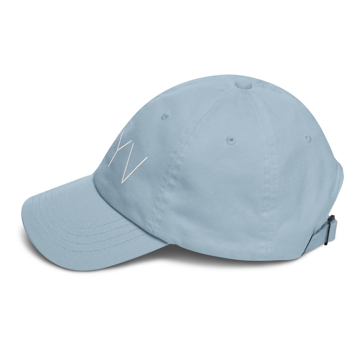 YBYV Dad Hat with Embroidered Large Logo